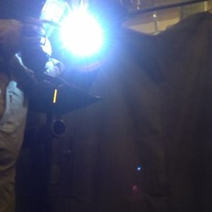 Meet your Posher, Wyatt